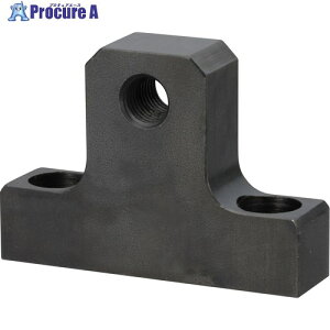 IWATA ���j�A�X�g�b�p�[�ʒu���ߗp LSCN-10N 1�� ����223-2631 �y�����s�x���ρz