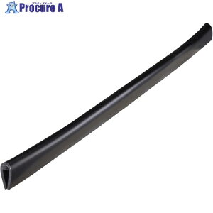 IWATA �G�b�W�K�[�h TEB�V���[�Y 40M TEB480-L40 1�� ����610-0830
