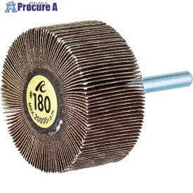 AC フラップホイル 軸径6mm #60 外径25×幅25×軸長40 AF2525-60 5個 ▼306-3330
