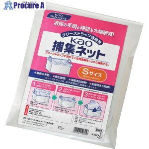 Kao ƖpߏWlbg STCY (10) 508256 1 385-5791