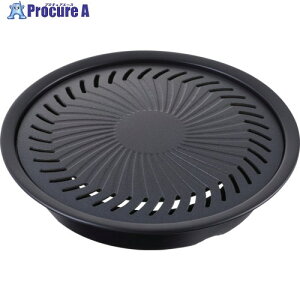 Iwatani WjAēv[g CB-A-YPJ 1 454-1797yϕsz