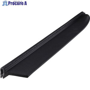 IWATA �t���b�v�V�[�� TGB�V���[�Y 21M TGB243-L21 1�{ ����222-7379