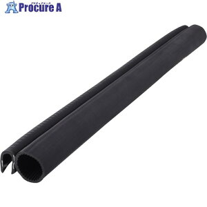 IWATA �g�����V�[�� (��̐��^) �ϖ�TPE 42M TSGB640A-L42 1�{ ����222-4938