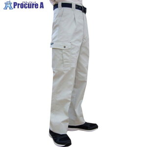 TEAGLES �ȍ��J�[�S�p���c �V���o�[�O���[ 82cm 7661SG82 1�� ��425-7535