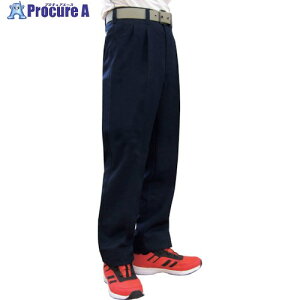 TEAGLES �|���G�X�e���X���b�N�X �l�C�r�[ 105 6951 NA 105 1�� ��425-9162