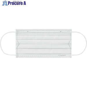 IRIS 296317 DAILY FIT MASK �ӂ��T�C�Y 30���� �z���C�g PN-DC30MW 1�� ��469-7467