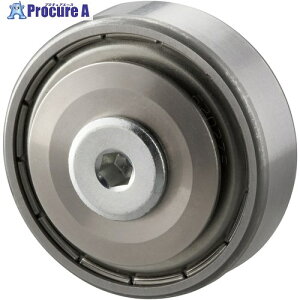IWATA �x�A�����O���[���[ �x�[�X�p(Br�t) BB6202M 1�� ����223-1887 �y�����s�x���ρz