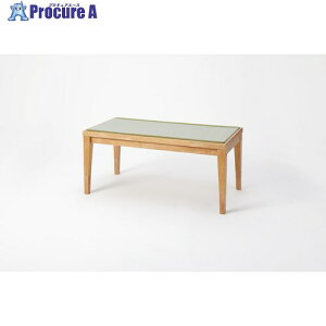 �哇�� ���V�R�؃x���` �i�`������ ���������� W100×D50×H45cm 339722 1�� ����697-9543