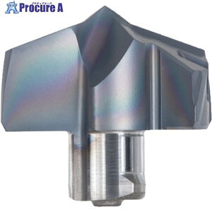 �^���K���C �h�����E�}�C�X�^�[�����x���H�w�b�h DMC AH9130 DMC111 AH9130 2�� ��225-8785 ��MA515