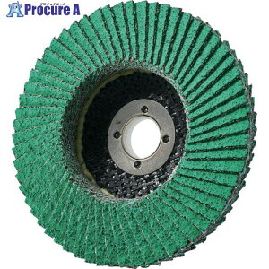 AC PGA-X �t���b�v�f�B�X�N Z PGAX10015-Z-60 10�� ��351-7853