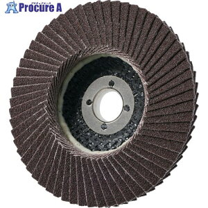 AC PGA-X �t���b�v�f�B�X�N A PGAX10015-A-60 10�� ��351-7870