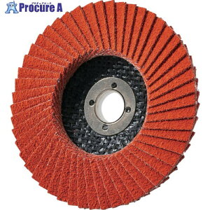 AC X[p[Z~bNfBXN 100X15(16) #36 SPCD10015-36 10 479-5784