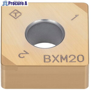 �^���K���C �^���O�E�^�[�� �O�a������H�p�C���T�[�g 2QP-SNGA BX930 2QP-SNGA120408 BX930 2�� ��825-3263 ��MA515