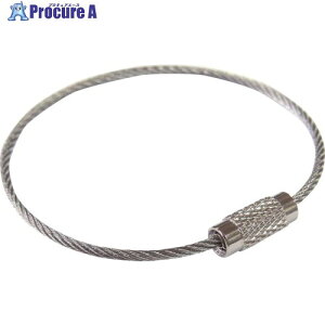 jbT`FC XeXL[C[ (100) SKE-101 1 126-4621yϕsz