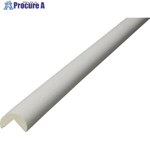 IWATA �o���p�[�v�� �R�[�i�[�^�C�v BP1 1m �� BP1W-L1 1�{ ����188-4981 �y�����s�x���ρz