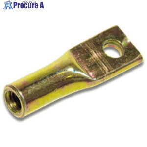 IWATA �X�N�����[�L���b�v(10��) MT05-P 1�p�b�N ����222-3298