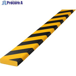 IWATA �o���p�[�v�� �t���b�g�^�C�v 1M BP40-L1 1�{ ����223-2669