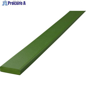IWATA �o���p�[�N�b�V���� �o���p�[�v�� �� BP40GR-L1 1�� ����368-2198