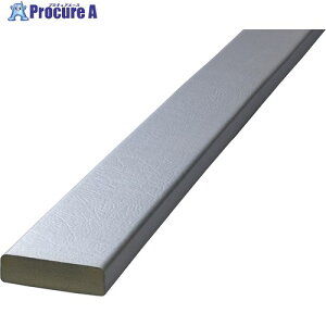 IWATA �o���p�[�N�b�V���� �o���p�[�v�� �V���o�[ BP40SV-L1 1�� ����368-2214