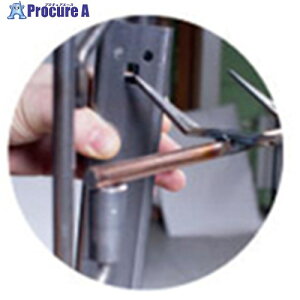 IWATA dhp(1) HCLBH800X100V-P 1 630-8555 ysxρz