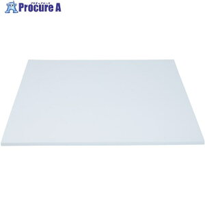 CmAbN |G`V[gEVAtH[  20×1000mm×1000mm A-155-20 1 818-4133 ԏn