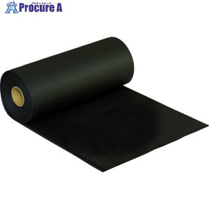 TRUSCO EPDMX|W[ t10X500X5m TER-1055 1 754-2666