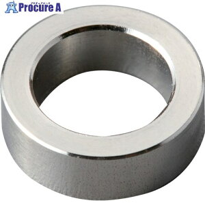 IWATA bV[ SUS304 WS2010-5 1 222-9576