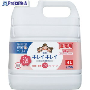 CI LCLCpAnh\[v t[c~bNX̍ 4L BPGHJ4P 1 208-3424