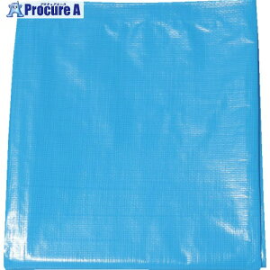 ���� OS�V�[�g(�u���[�V�[�g) #2500 5.4m×7.2m OS5472-T 1�� ��377-8819