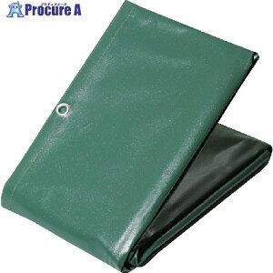  ^[s[ GXezgbNV[g W-4 O[ 2.6m×3.8m EH-W4 1 437-5562