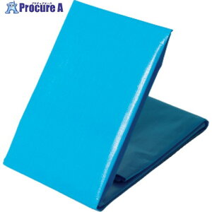 ���� NEO�V�[�g(�u���[�V�[�g) #3000 3.6m×4.5m NEOS3645 1�� ��868-4462