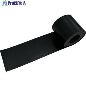 WAKI S[ GR-10 3X50X1M N GR-10 1 168-9781