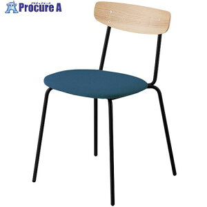 NAIKI �~�[�e�B���O�`�F�A�[(4�{�r �v���~�m E395�^/����:�T���h�E�H�[���i�b�g/����:�s�[�R�b�N E395FSB-M15-PC 1�r ����693-2599 ���l��l����s��