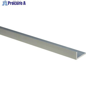 �� �A���~�s���ӃA���O��(L 300mm) 20×40×3mm AAH2040 1�{ ��829-0609