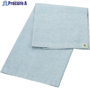 TRUSCO �X�p�b�^�V�[�g�A���t�@�[ 2�� 920X1920 SPS-2A 1�� ��120-9787