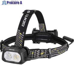 GENTOS �w�b�h���C�g �e�B�[���b�N�X TX-D434R TX-D434R 1�� ��696-3612