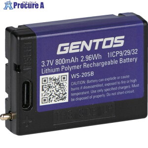 GENTOS p[dr WSV[Yp[dr WS[20SB WS-20SB 1 697-9472