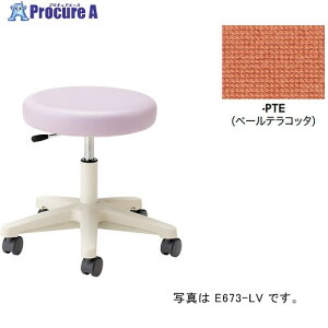 NAIKI ۃCX(LX^[[rEw/:y[eRb^ E673F-PTE 1r 691-0553 lls