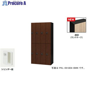 NAIKI p[\ibJ[(8lp) |bP PKL^/:ThI[N {:ubN/W900×D450×H1800 PKL-09188-BSO 1 692-7893 lls