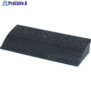 IRIS 529433 Siv[g ubN GDP-4560 1 855-5466