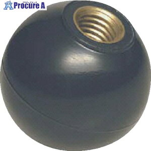 �C�}�I �v���X�`�b�N����� PC25X8B 1�� ��805-8164