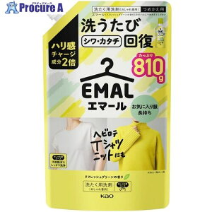 Kao  G}[ tbVO[̍ ߂p 810g 453587 15 691-4723 ysxρz