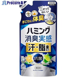 Kao _d n~OL EL^Cv NAVgX̍ ߂p360ml 450401 15 691-4740 ysxρz