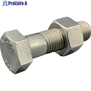 HI�[LEAD �Z�p�{���g�E�i�b�g(�{�̋K�i/�VJIS) A2-70 SUS304/�X�e�����X M16X60L �s�b�`2.0 ���˂� �X�^�C��1�i�b�g IS6HBNA270-M1660P20 1�g ��684-6023