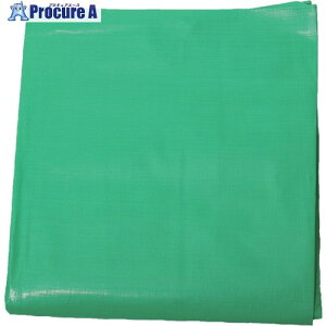 ���� �^�[�s�[ UV�V�[�g #4000 �O���[�� 3.6m×5.4m UV4000-GR3654 1�� ��437-7081