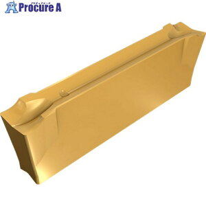 �C�X�J�� �h�D�[�O���b�v �˂��؂���H�p�`�b�v DGN/DGNM-J/JS/JT IC5400 DGN 3102JT IC5400 10�� ��110-5565 ��O585