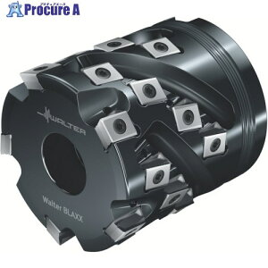 Walter �|�[�L���p�C���J�b�^�[ F5138.UB19.051.Z03.34 1�� ����117-4019 �y�����s�x���ρz ��O585