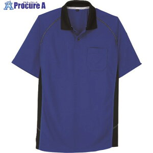 �R�[�R�X �����|���V���c A-3377 6�u���[ LL A-3377-6-LL 1�� ����135-2880 �y�����s�x���ρz