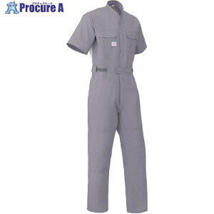 AUTO-BI SS(t)f Ȃ3751-007O[-5L 3751-007-5L 1 136-8754 ysxρz