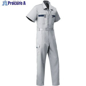 AUTO-BI SS(�t��)���f�� �����Ȃ���8701-007�O���[-LL 8701-007-LL 1�� ����136-9336 �y�����s�x���ρz